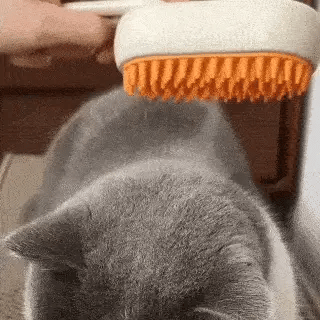 VAPOPELO® - Cepillo de Vapor Multifuncional 4 en 1 para gatos